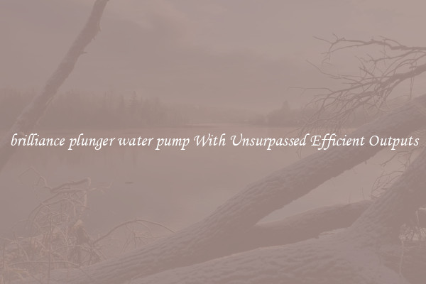 brilliance plunger water pump With Unsurpassed Efficient Outputs