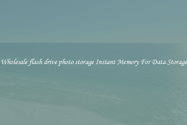 Wholesale flash drive photo storage Instant Memory For Data Storage