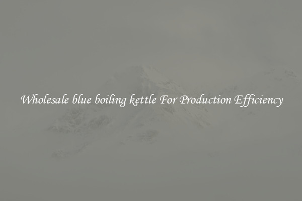 Wholesale blue boiling kettle For Production Efficiency