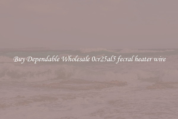 Buy Dependable Wholesale 0cr25al5 fecral heater wire