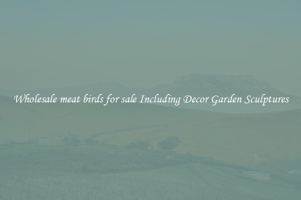 Wholesale meat birds for sale Including Decor Garden Sculptures