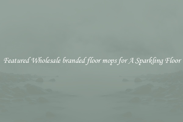 Featured Wholesale branded floor mops for A Sparkling Floor