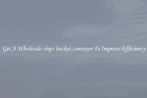 Get A Wholesale chips bucket conveyor To Improve Efficiency