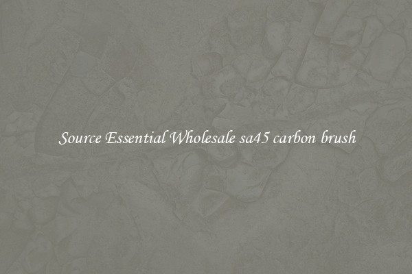 Source Essential Wholesale sa45 carbon brush
