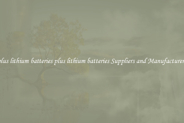 plus lithium batteries plus lithium batteries Suppliers and Manufacturers