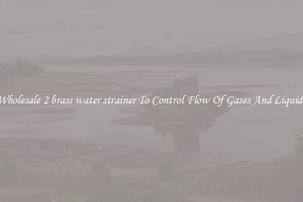 Wholesale 2 brass water strainer To Control Flow Of Gases And Liquids