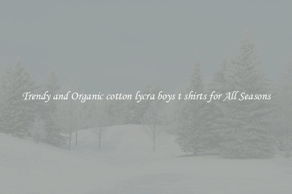 Trendy and Organic cotton lycra boys t shirts for All Seasons