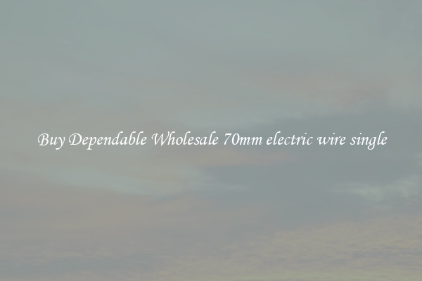 Buy Dependable Wholesale 70mm electric wire single