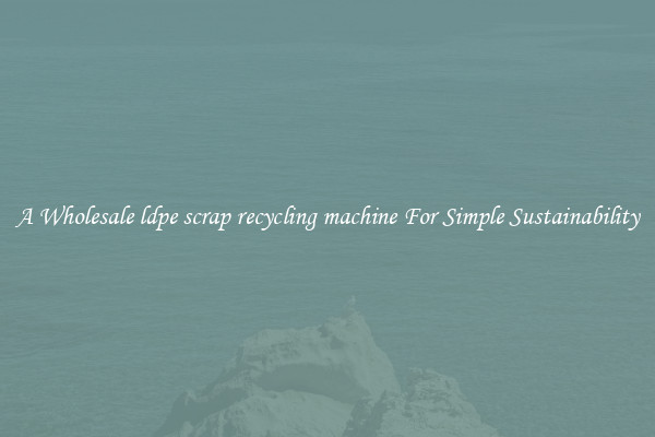  A Wholesale ldpe scrap recycling machine For Simple Sustainability 
