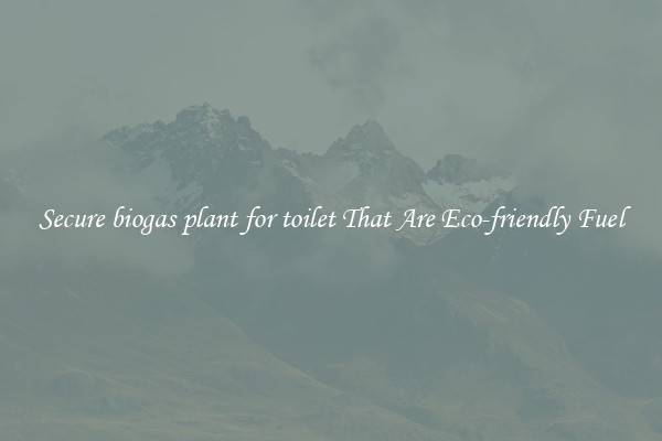Secure biogas plant for toilet That Are Eco-friendly Fuel