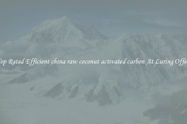 Top Rated Efficient china raw coconut activated carbon At Luring Offers