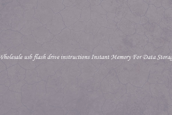 Wholesale usb flash drive instructions Instant Memory For Data Storage