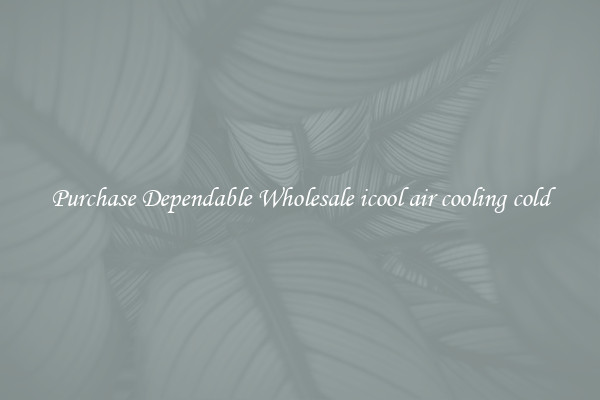 Purchase Dependable Wholesale icool air cooling cold
