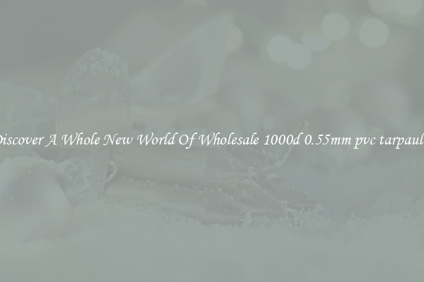Discover A Whole New World Of Wholesale 1000d 0.55mm pvc tarpaulin