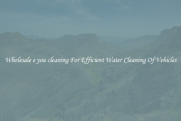Wholesale e you cleaning For Efficient Water Cleaning Of Vehicles