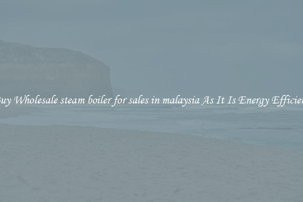Buy Wholesale steam boiler for sales in malaysia As It Is Energy Efficient